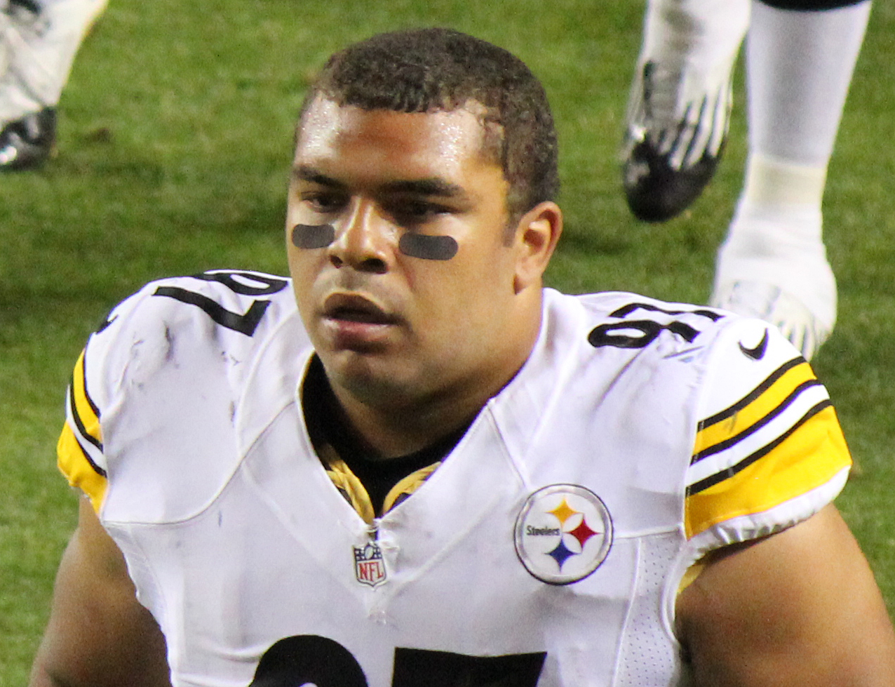 Cam Heyward (35 years old)