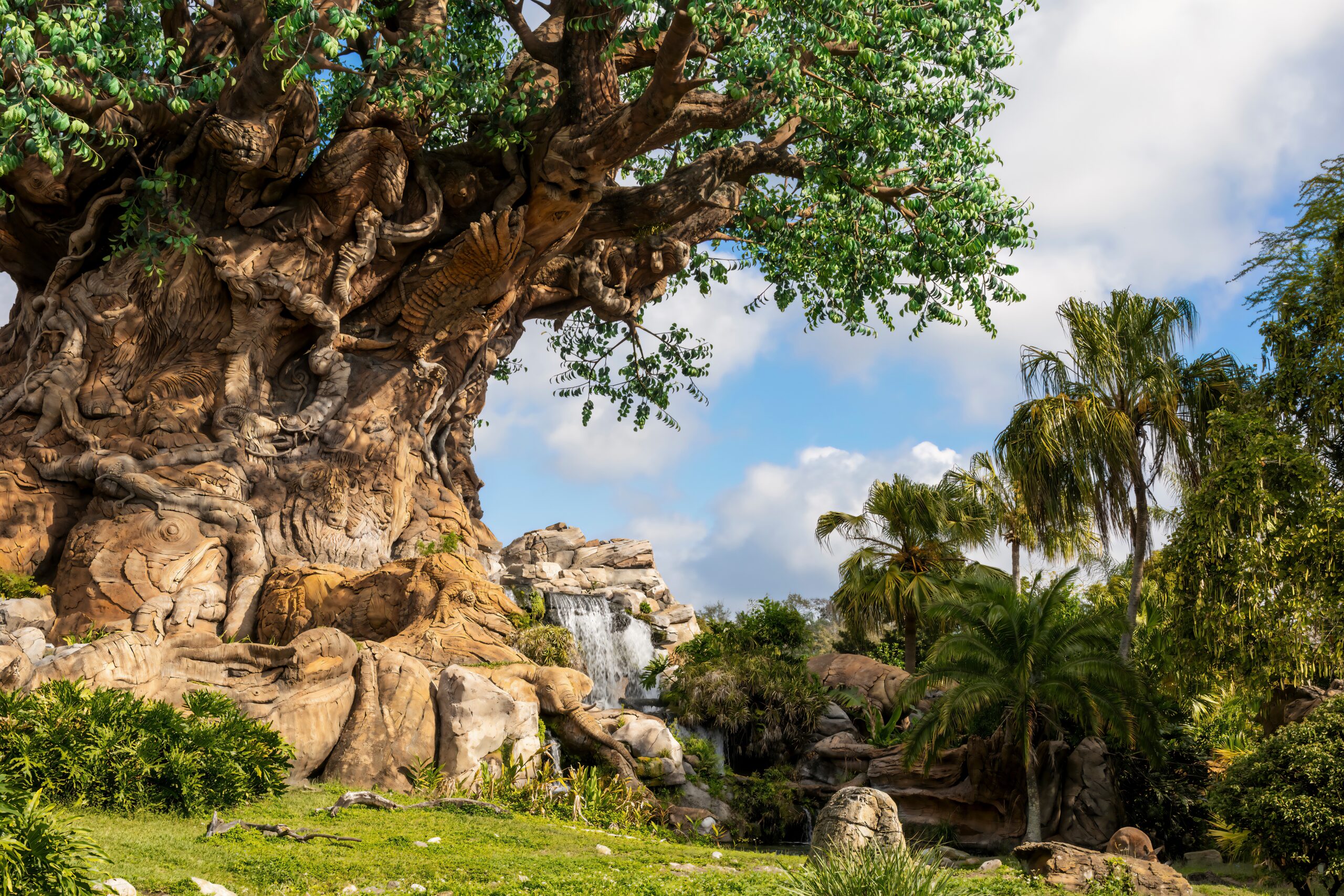 Disney's Animal Kingdom