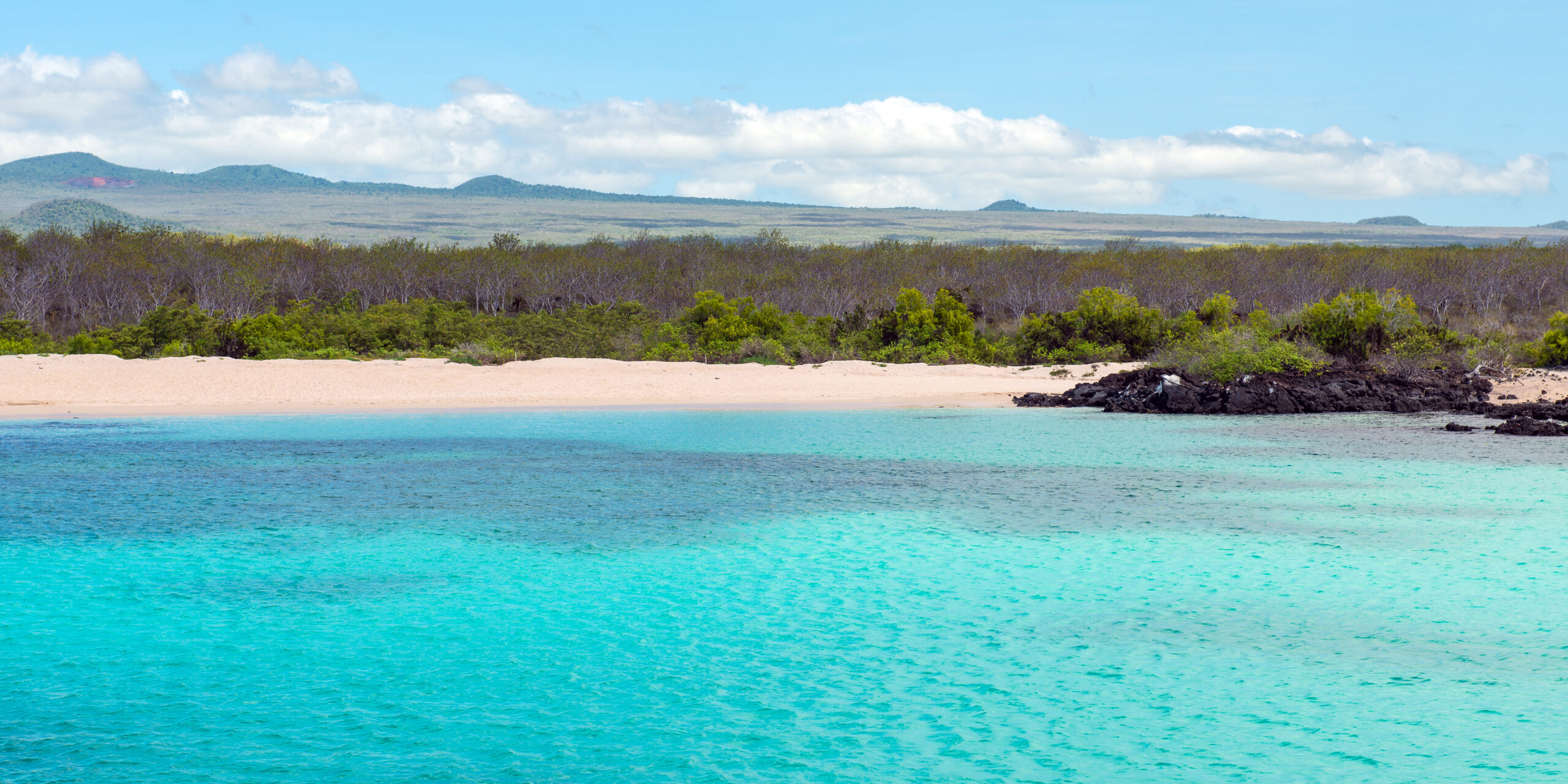 Galápagos Marine Reserve, Ecuador