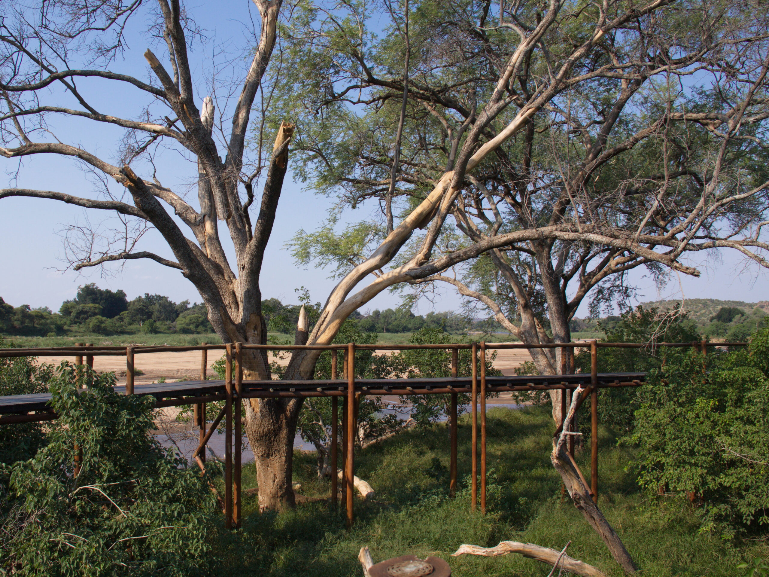 Great Limpopo Transfrontier Park, Africa