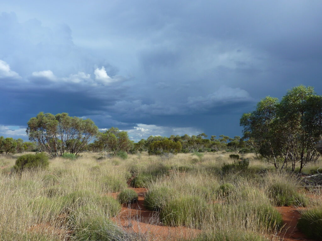 Great Victoria Desert, Australia