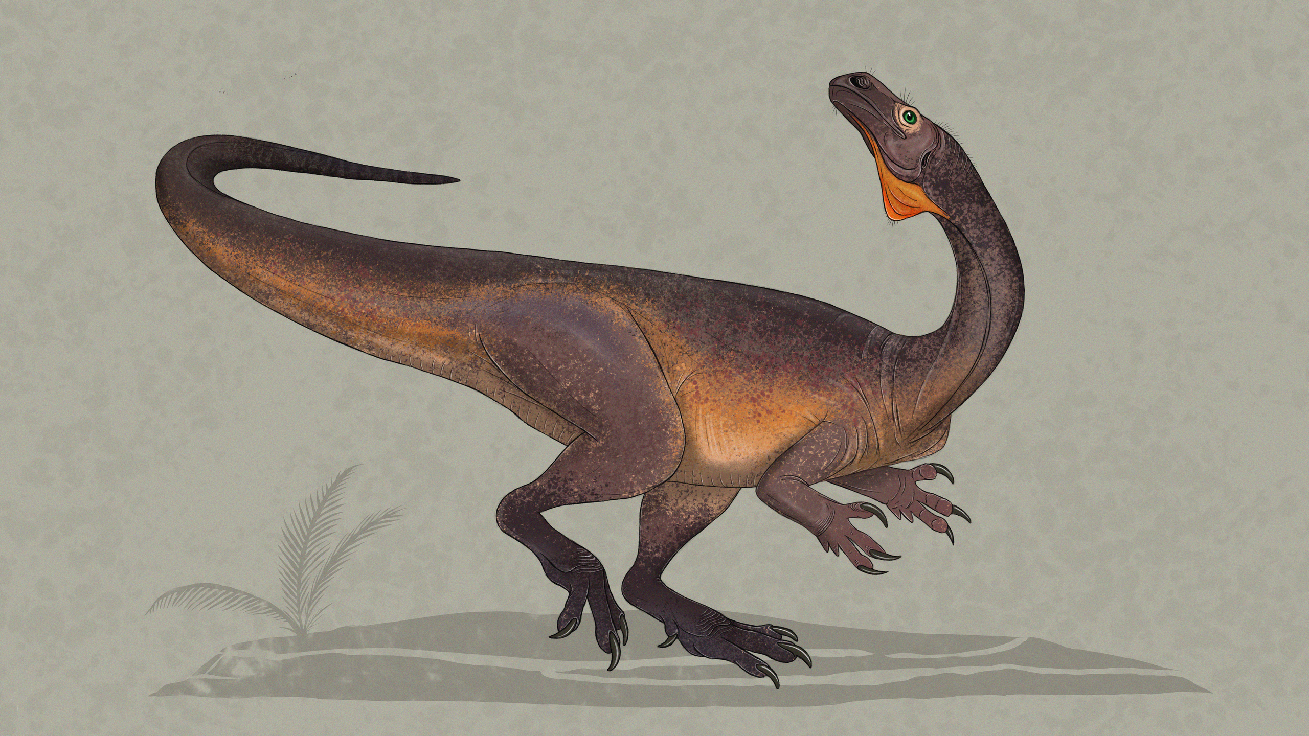 Guaibasaurus