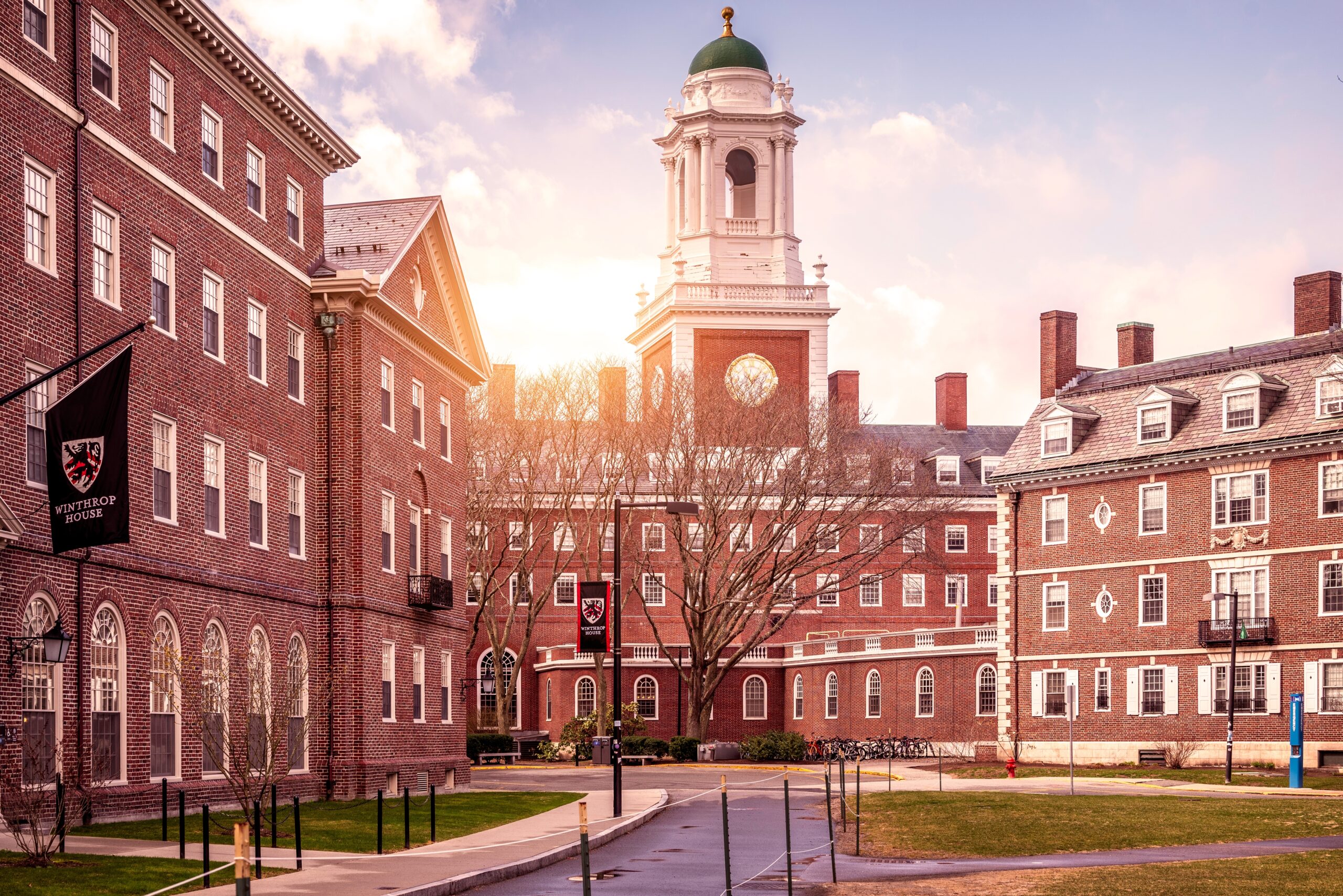 Harvard University