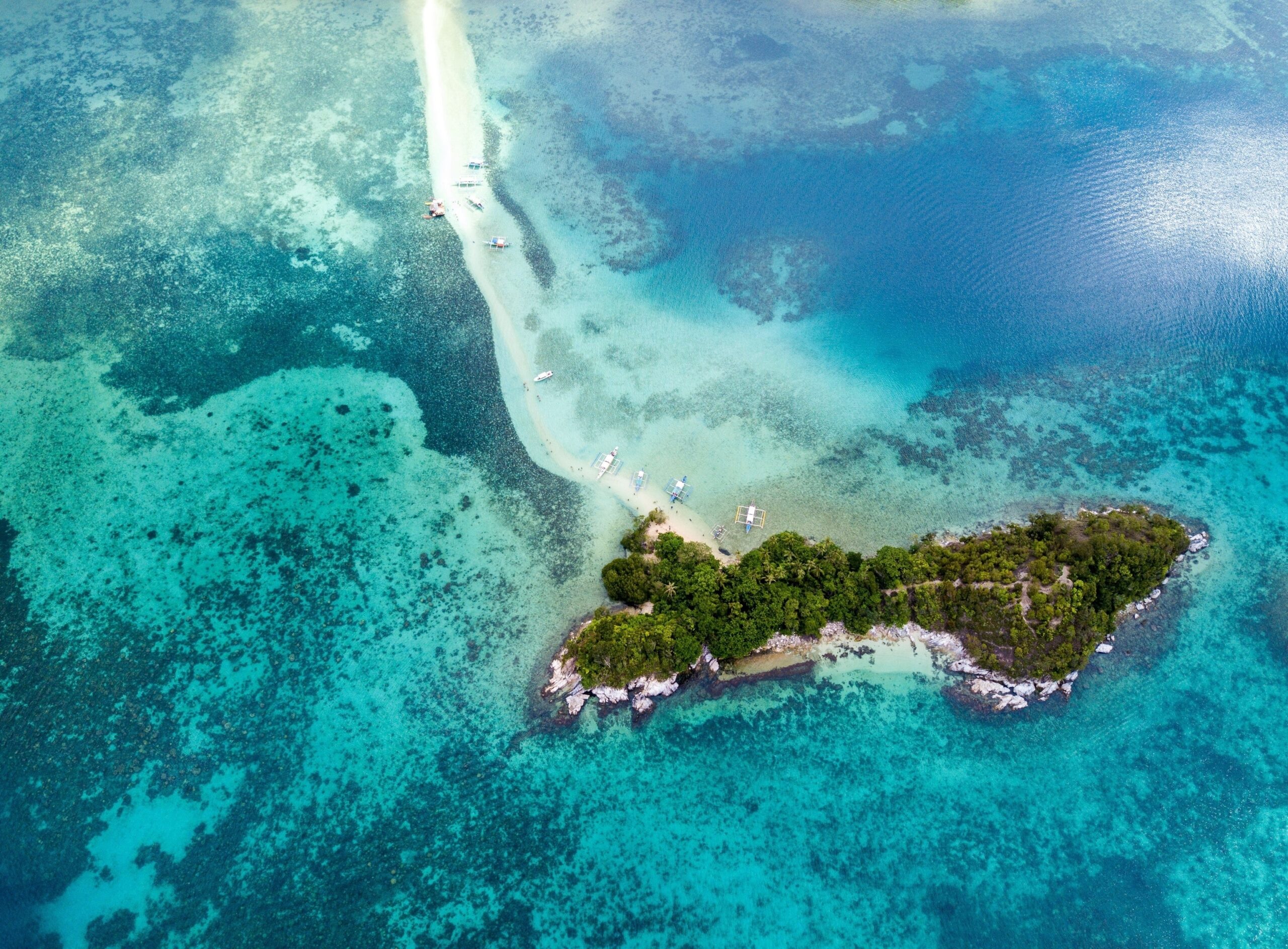 Ilha da Queimada Grande, Brazil