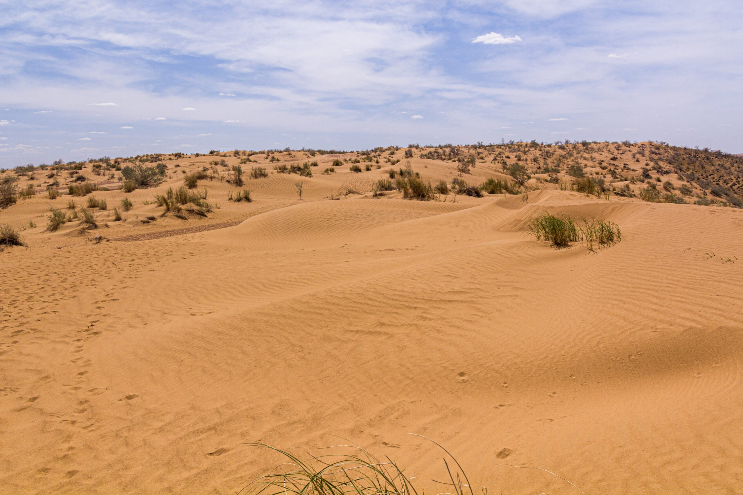 Karakum Desert, Turkmenistan