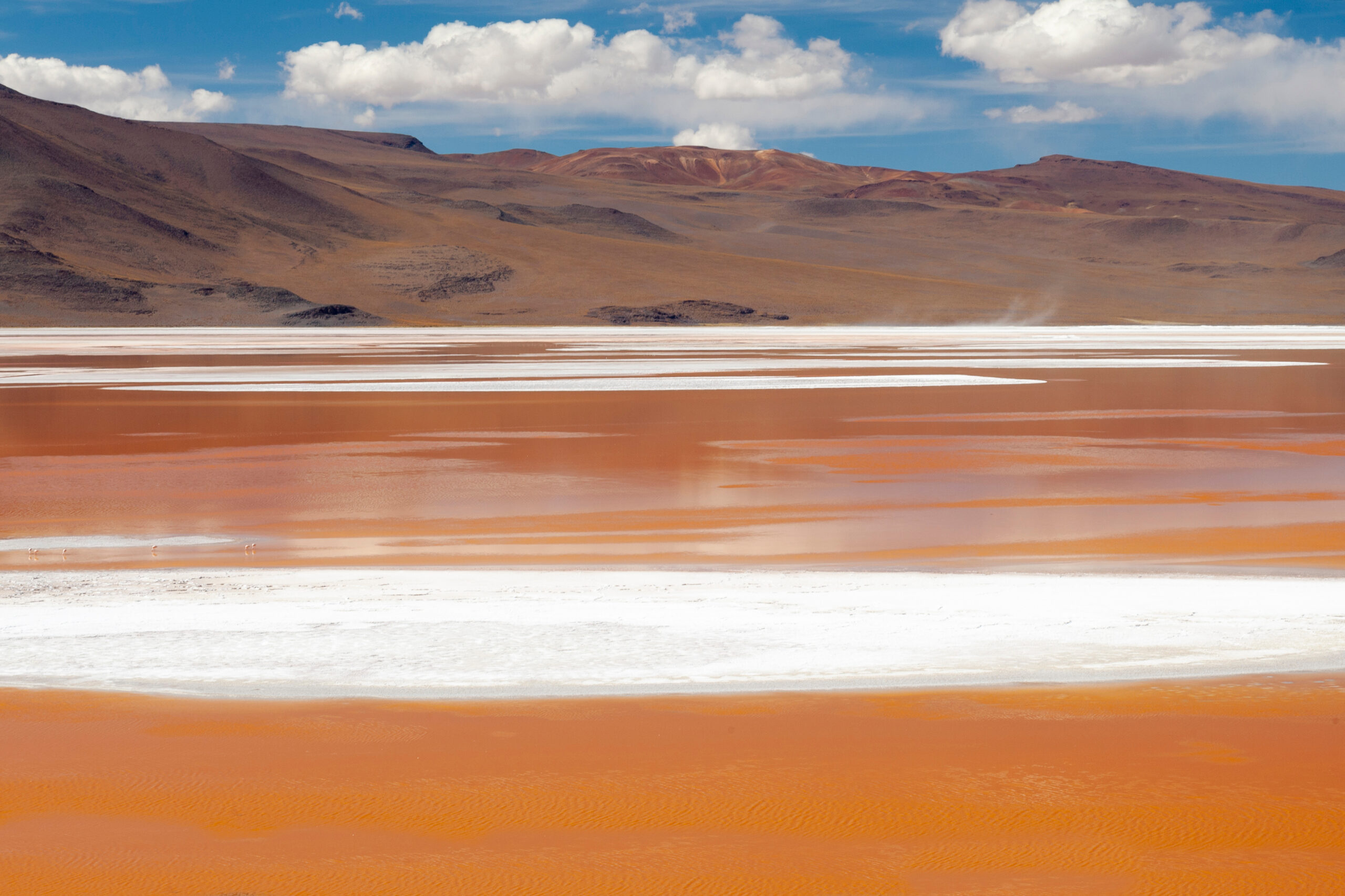 Laguna Colorada, Bolivia (Red-Tinted Waters)