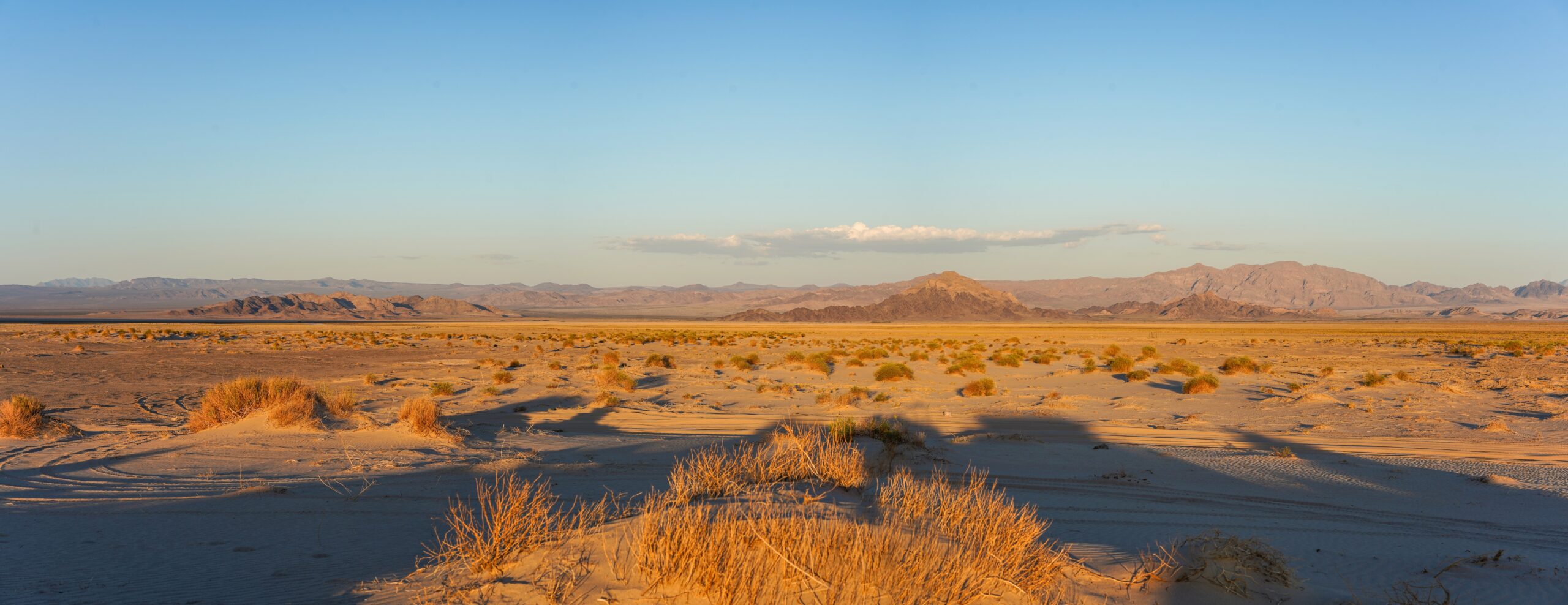 Mojave Desert, USA