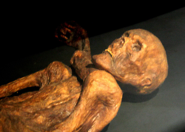 Ötzi the Iceman (Alps, between Austria and Italy)