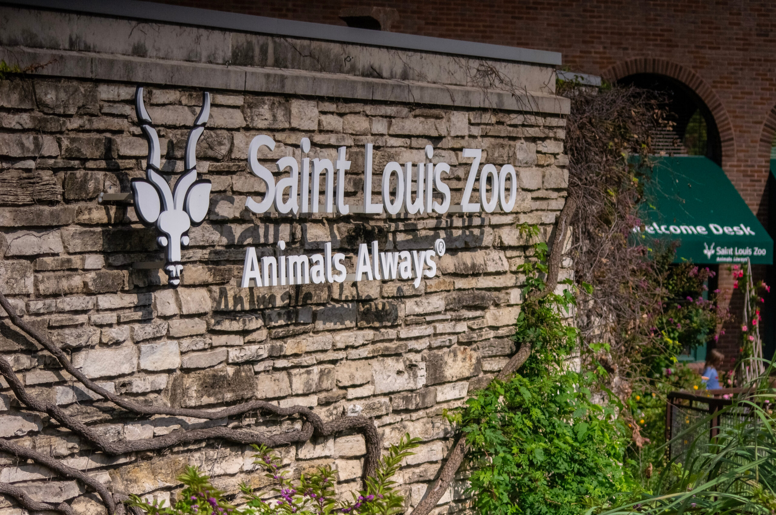 Saint Louis Zoo