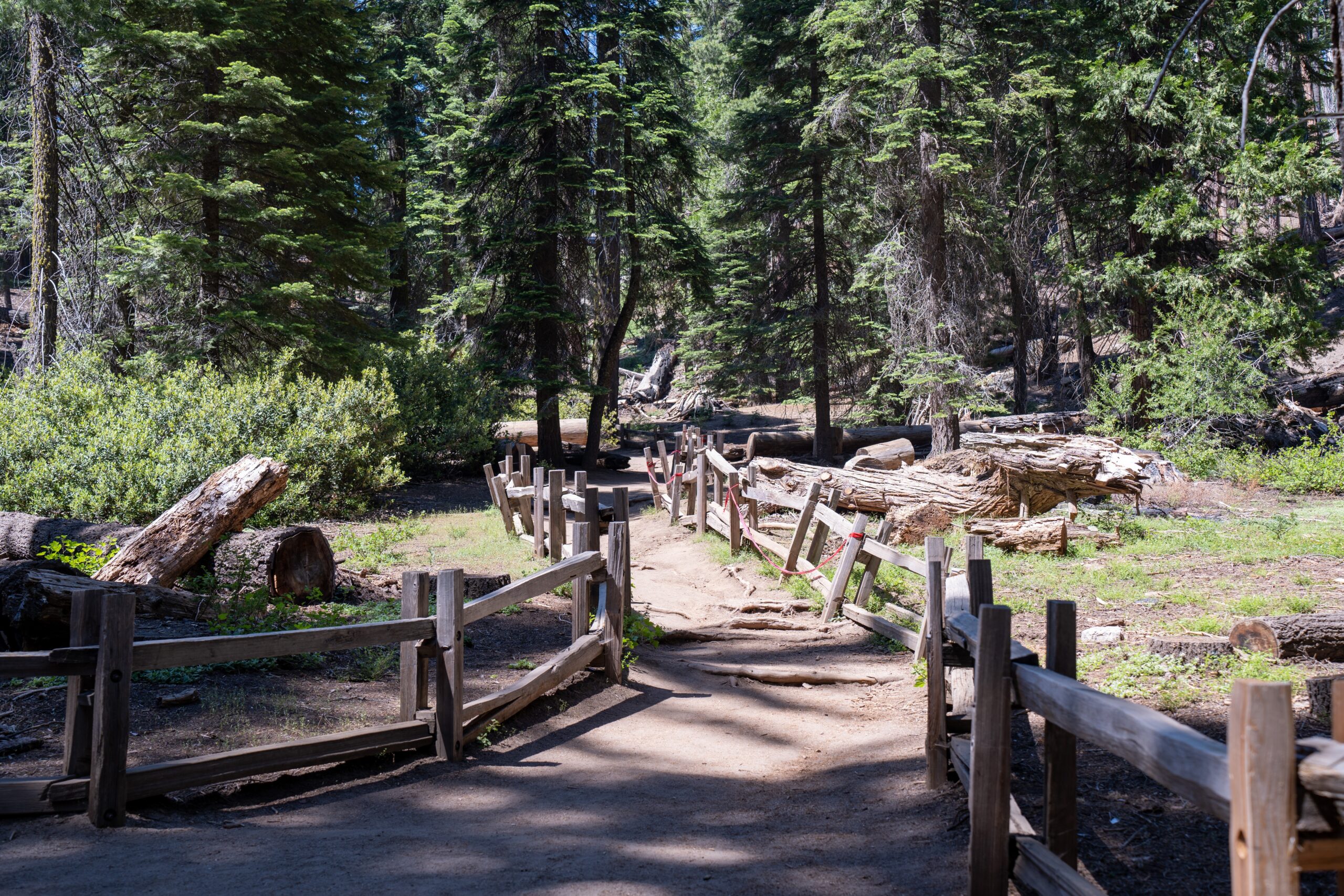 Sequoia and Kings Canyon National Parks, USA