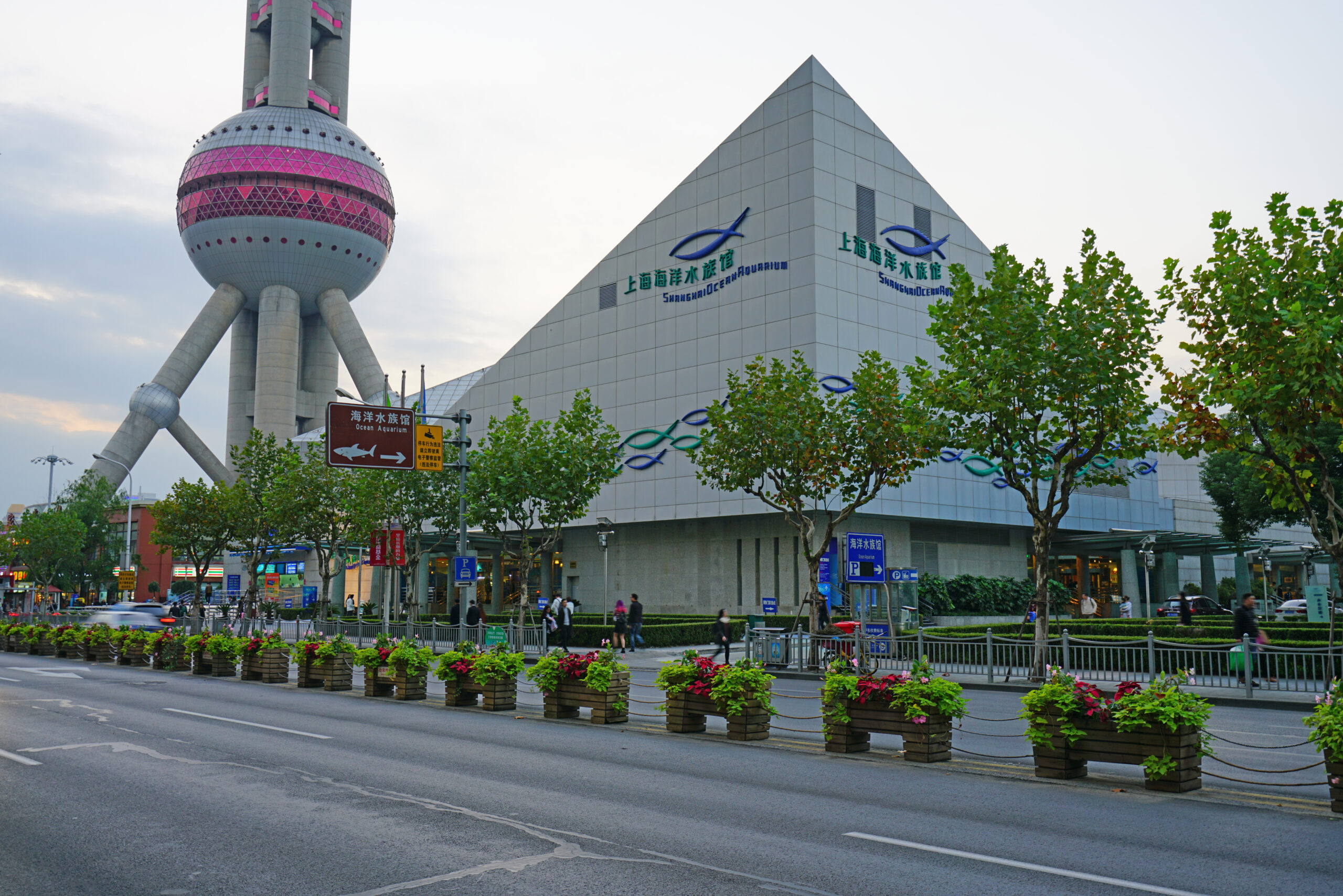 Shanghai Ocean Aquarium, China