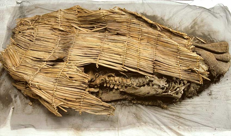 Spirit Cave Mummy (Nevada, USA)