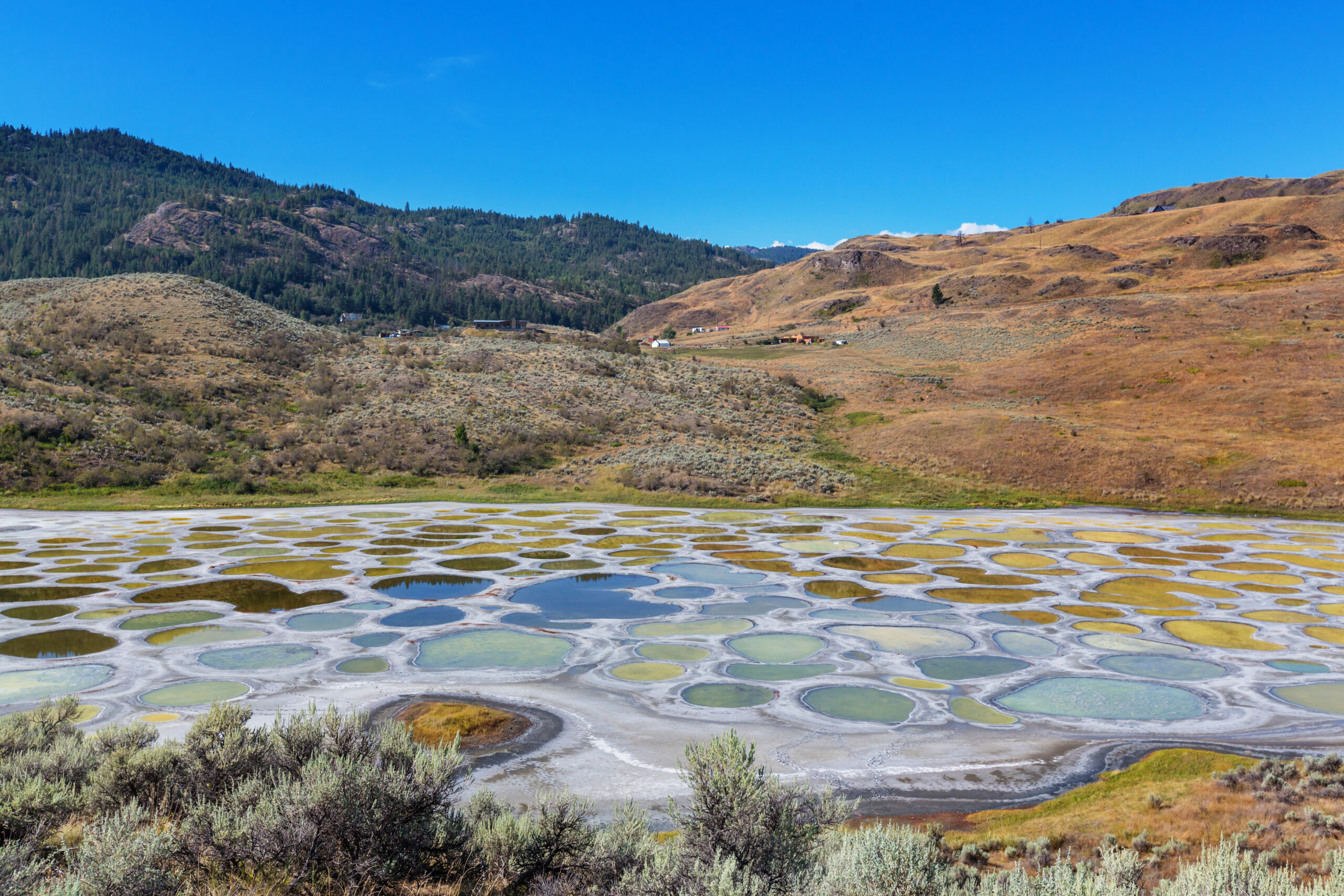 Spotted Lake, Canada (Polka Dot Patterns)