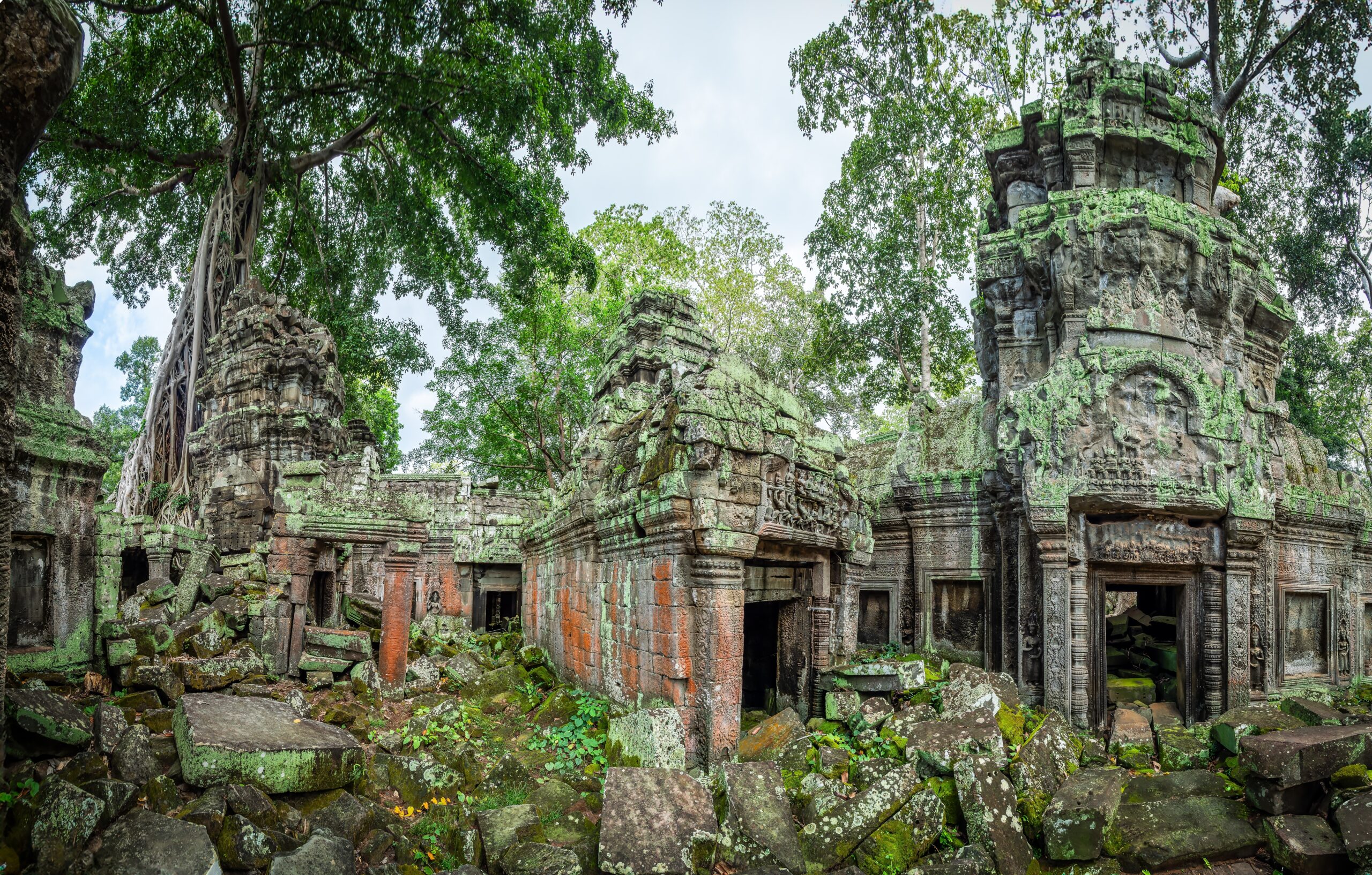 Ta Prohm Temple, Cambodia