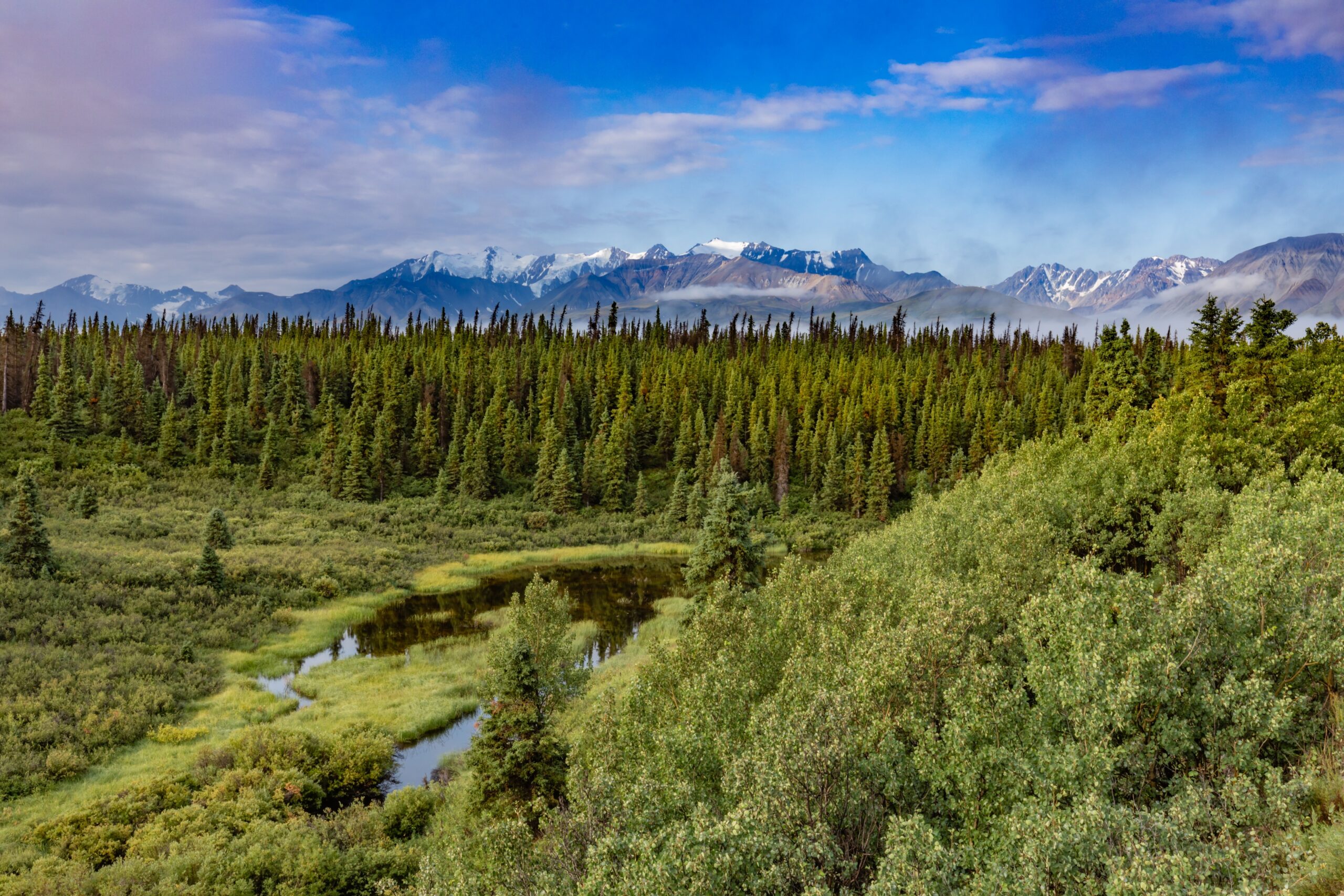 Taiga (Boreal Forest), Northern Hemisphere