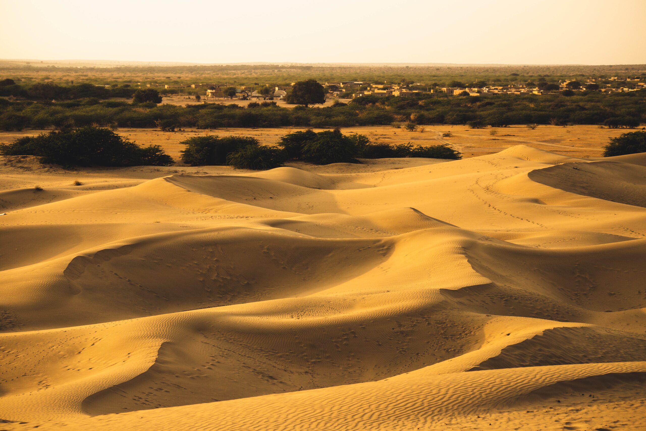 Thar Desert, India