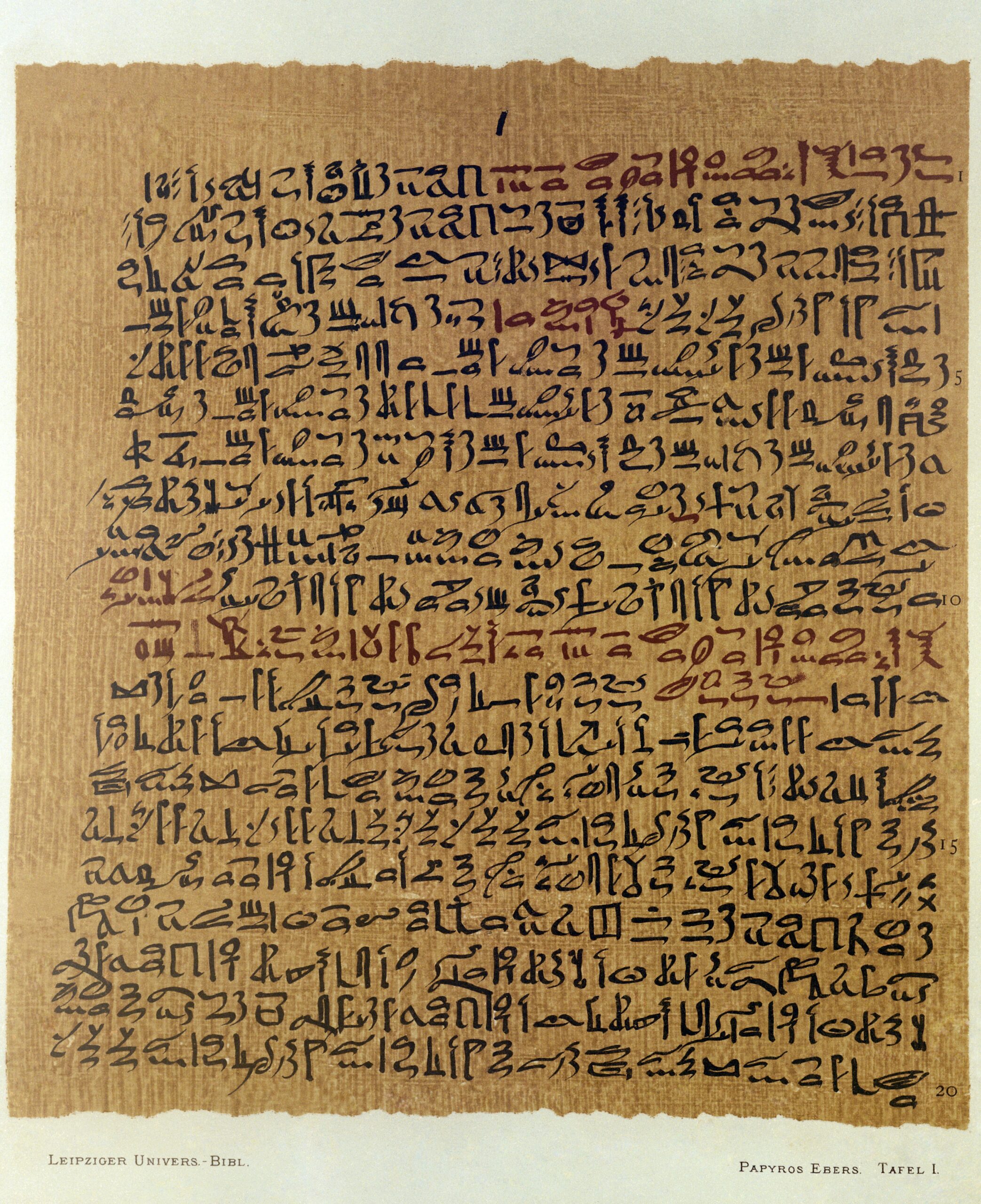 The Ebers Papyrus