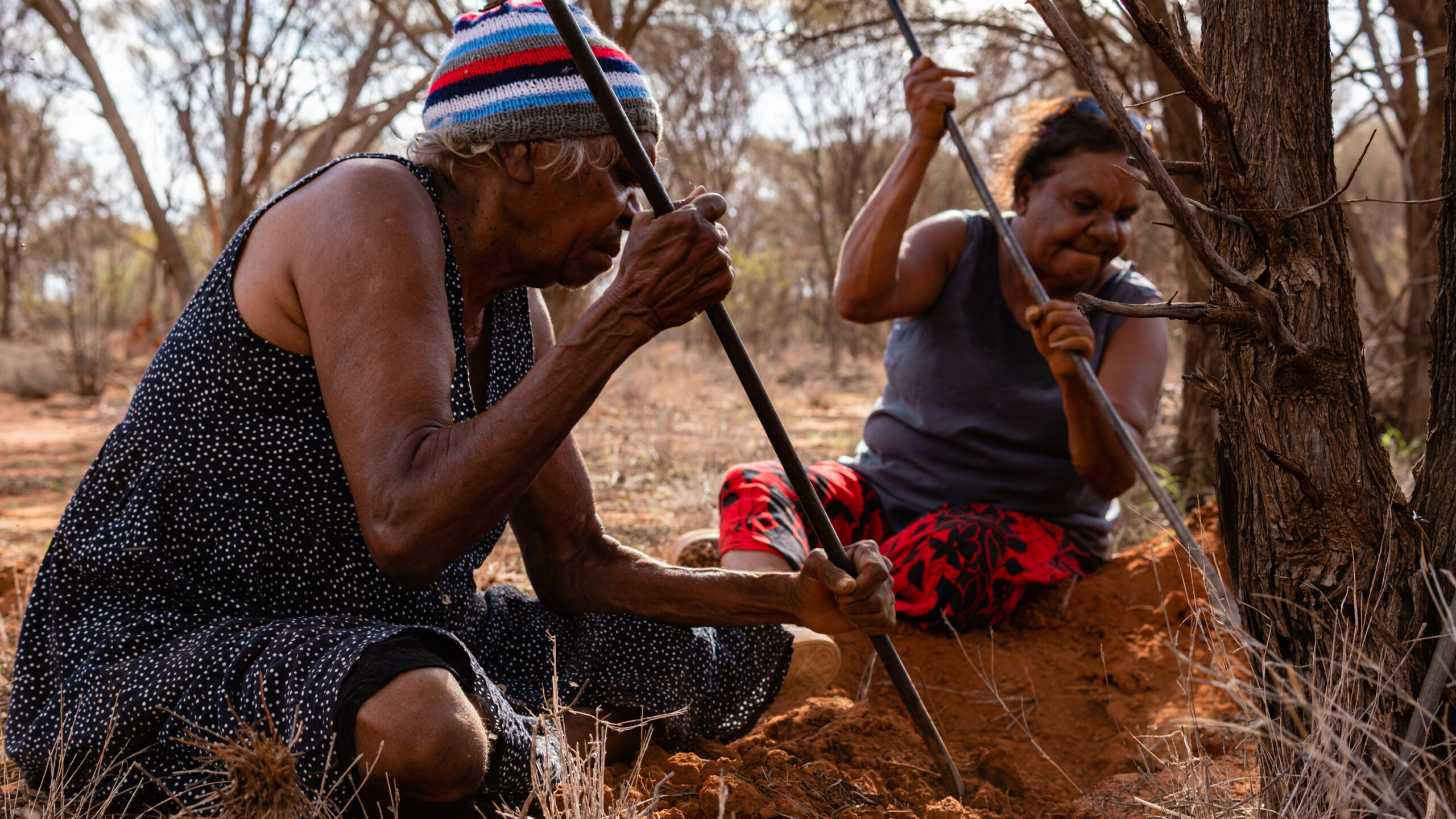 Warlpiri (Australia)