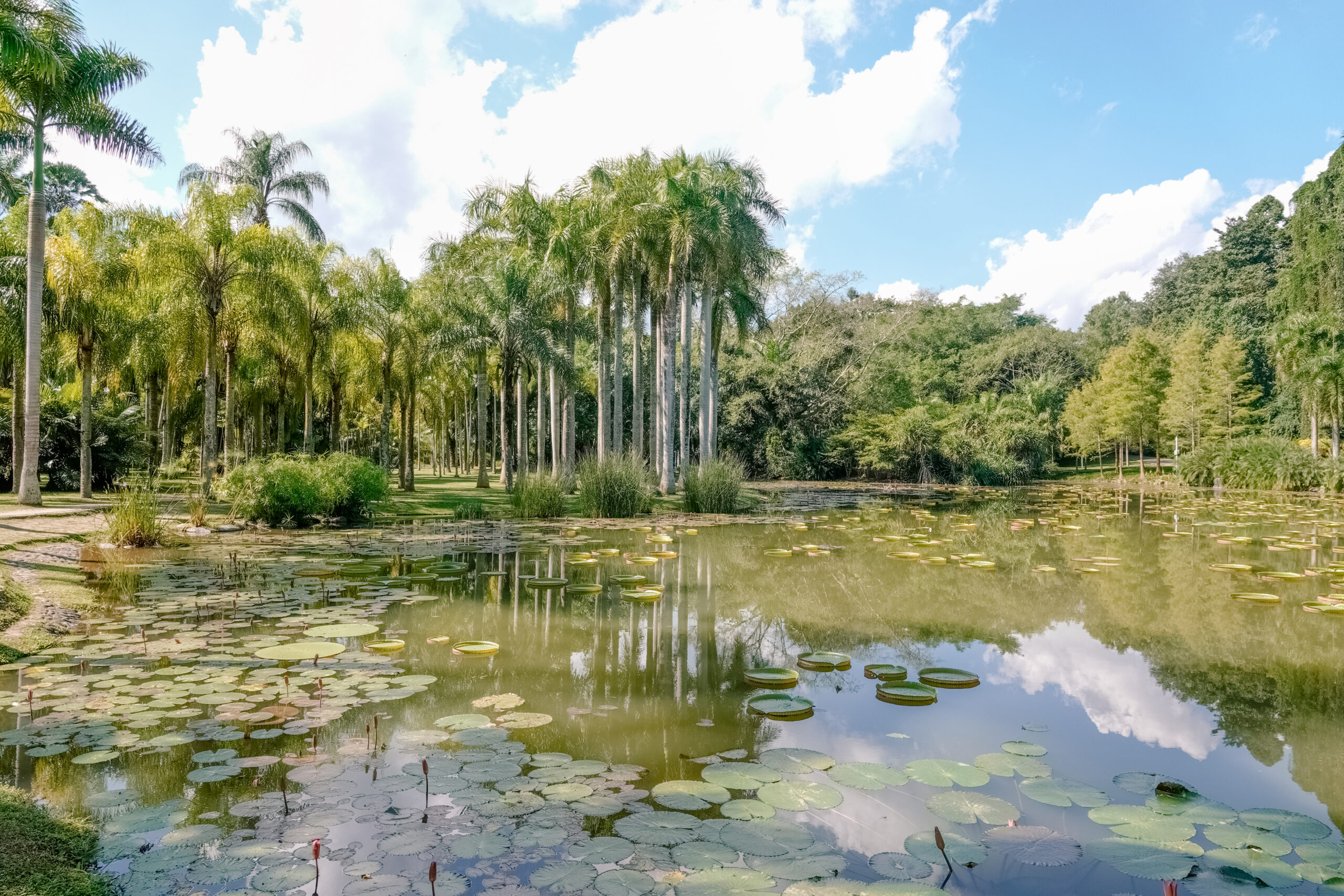 Xishuangbanna Rainforest, China