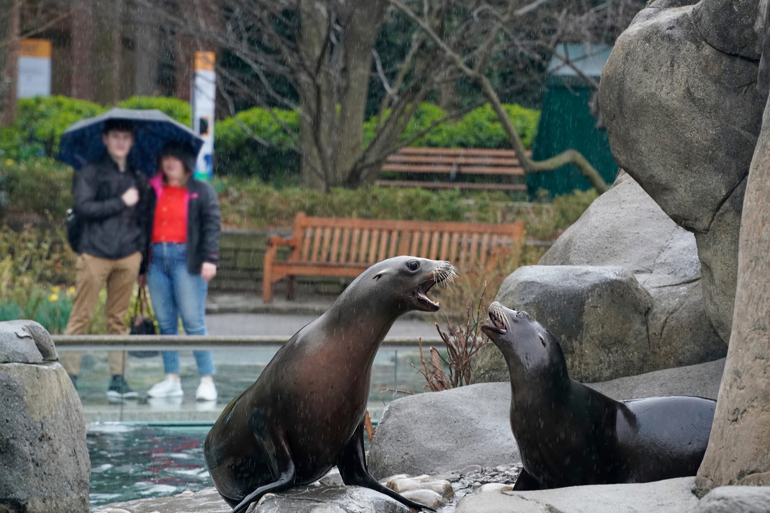 Central Park Zoo