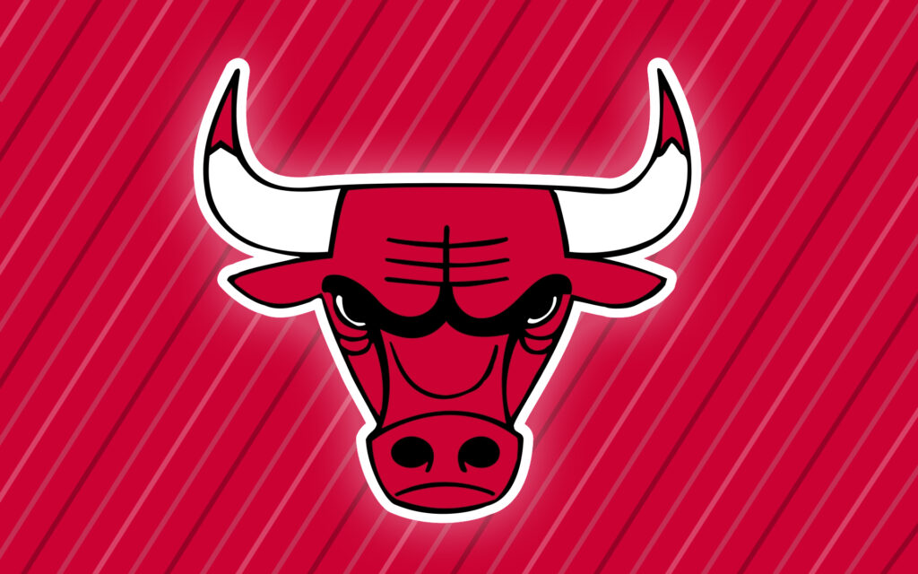 Chicago Bulls