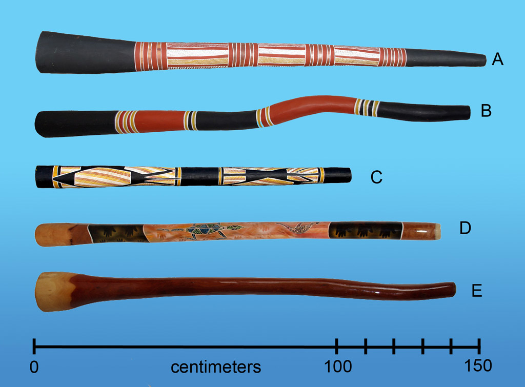 Didgeridoo (Australian Aboriginal Didgeridoo)