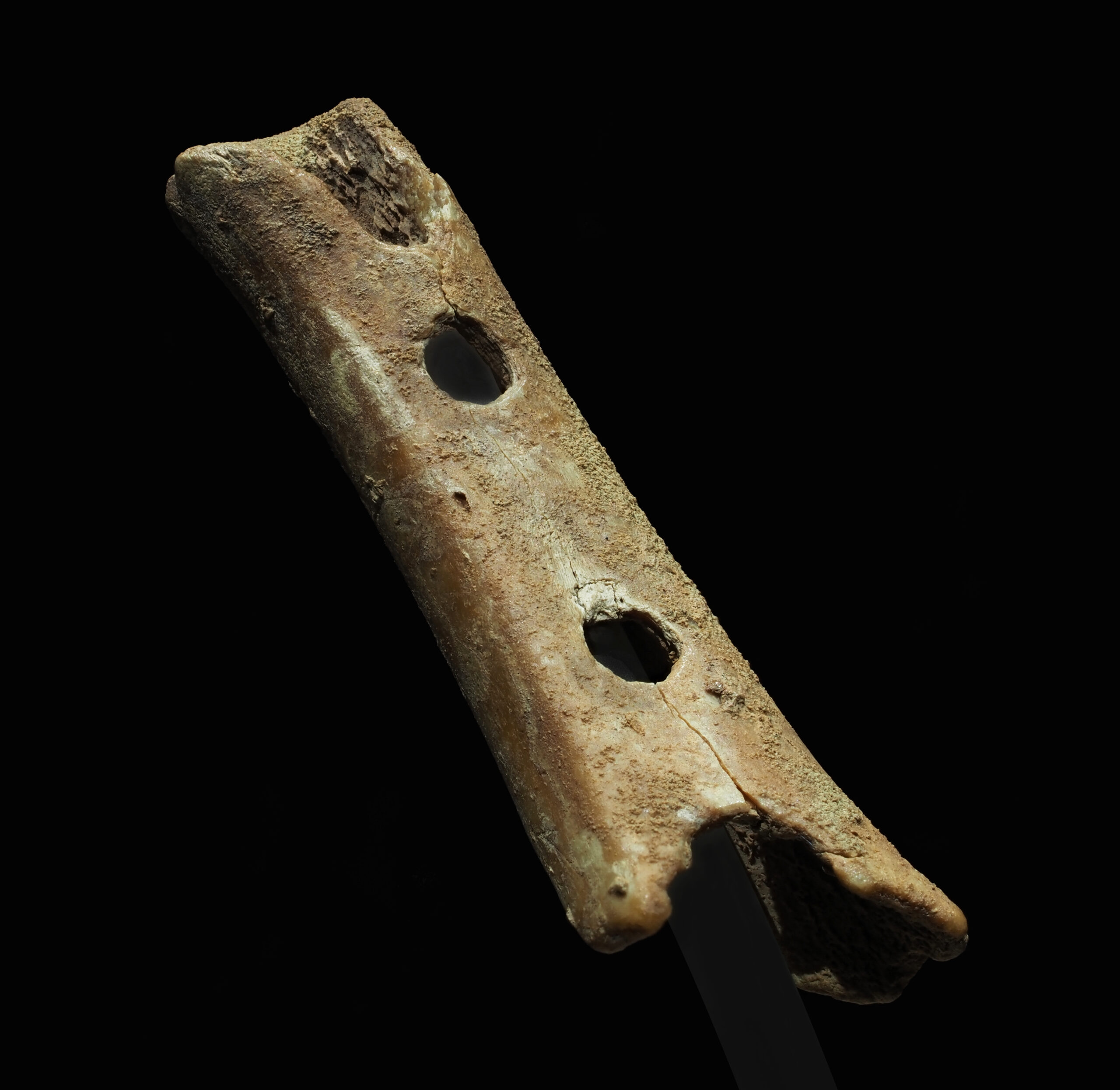 Flute (Divje Babe Flute)