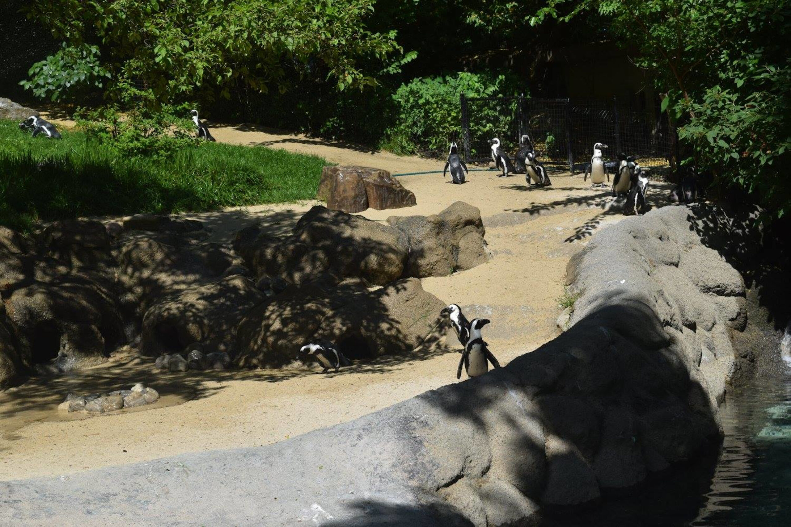 Fort Wayne Children’s Zoo