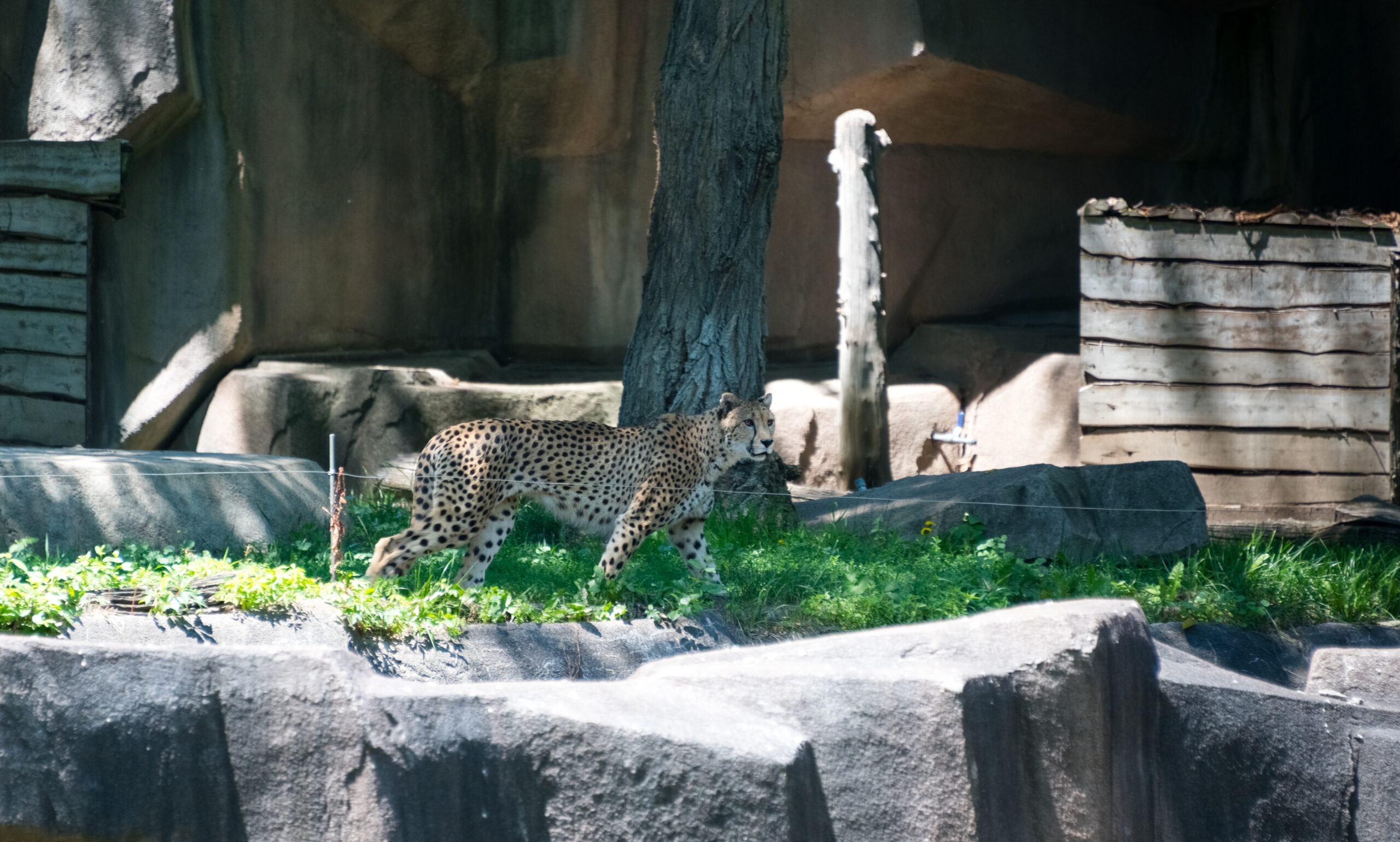 Milwaukee County Zoo