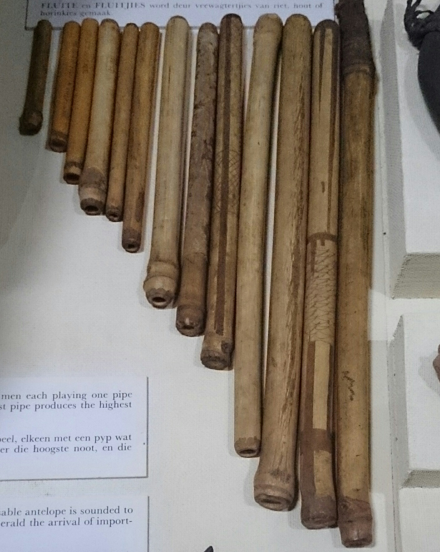 Reed Pipes (Ancient Egyptian Reed Pipes)