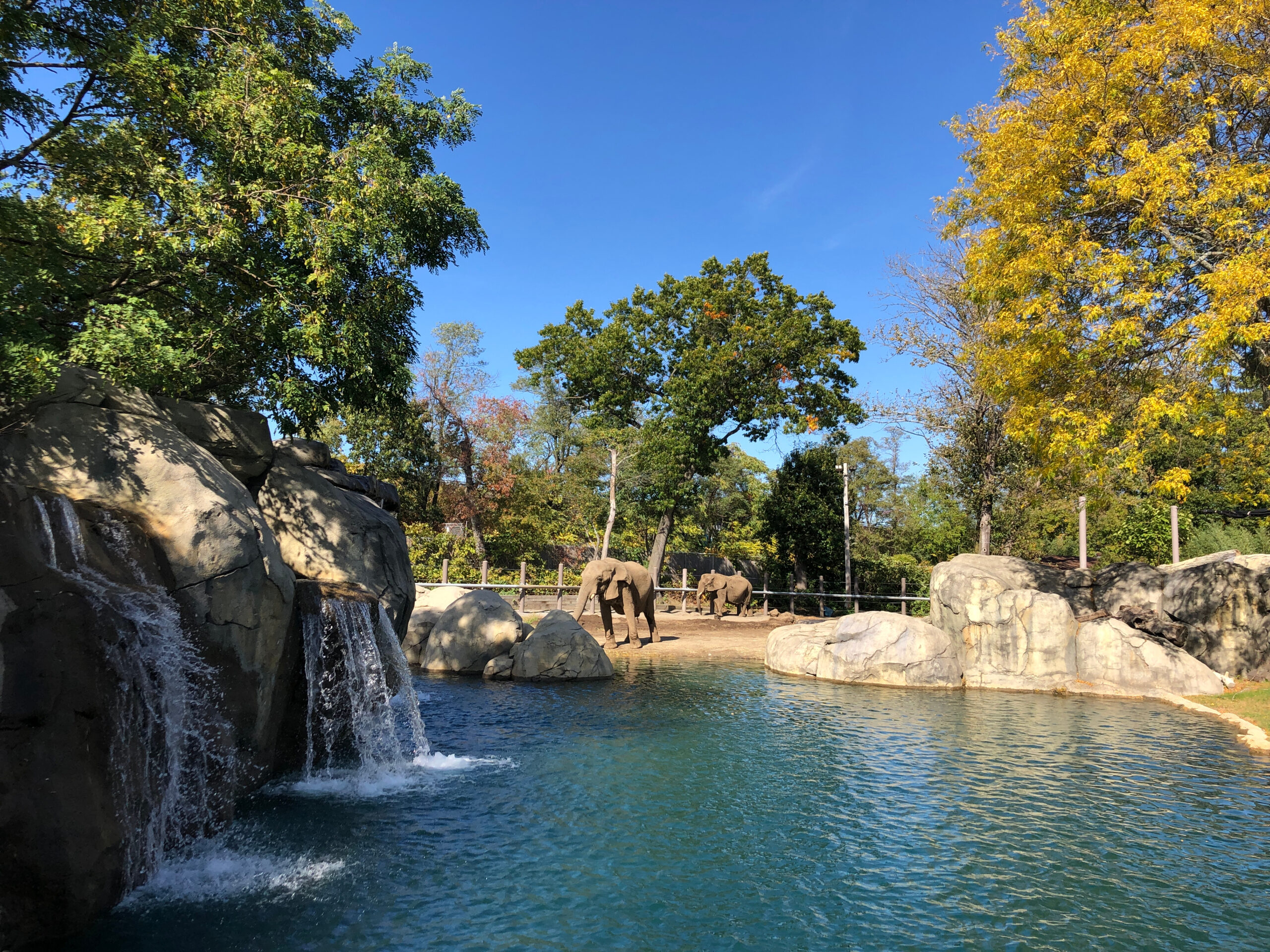 Roger Williams Park Zoo