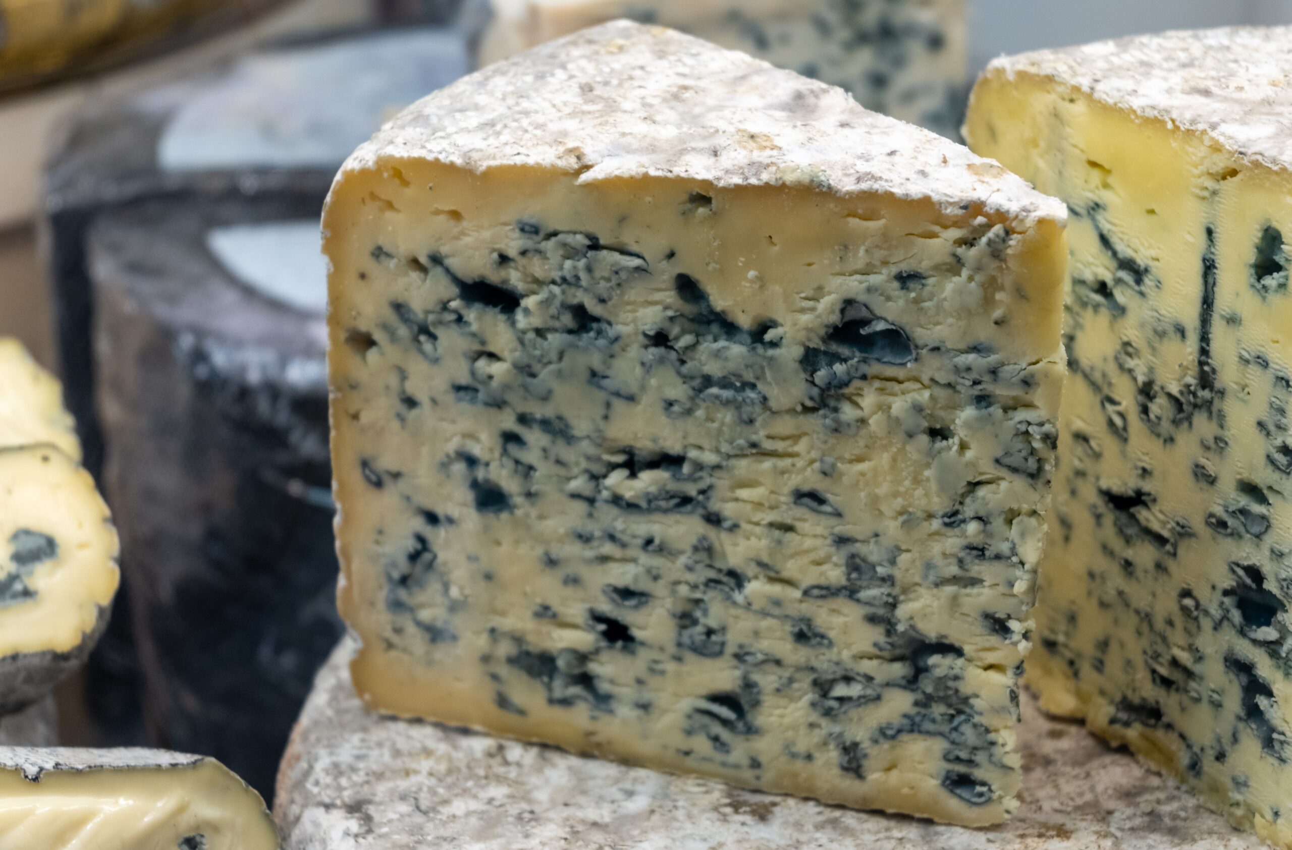 Roquefort (France)