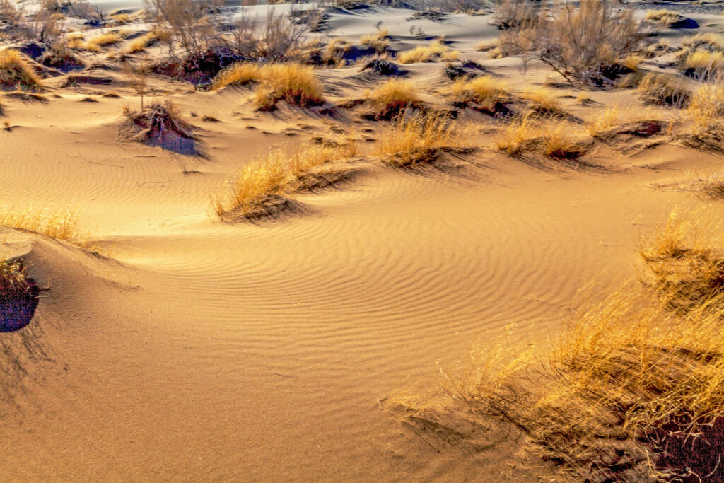 Singing Sand Dunes, Various Deserts