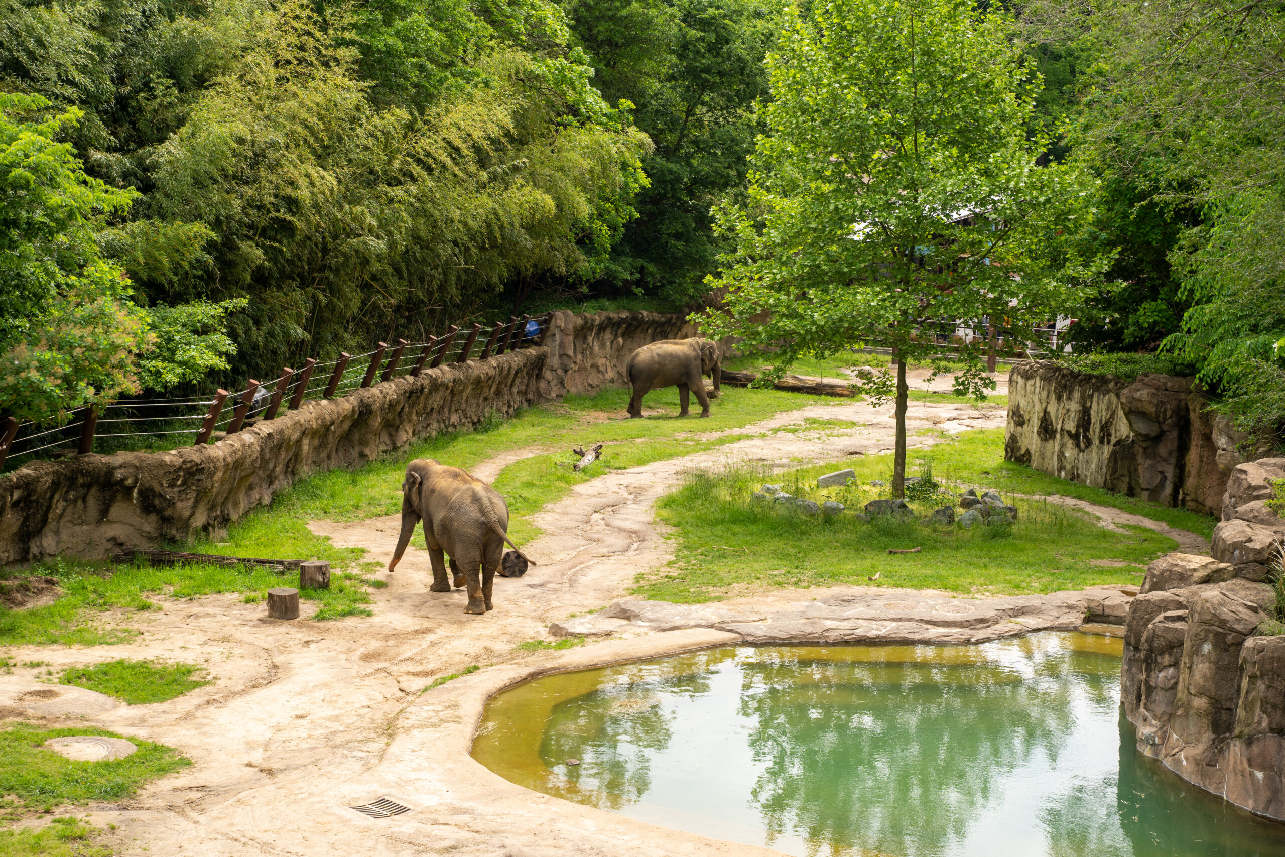 Smithsonian’s National Zoo