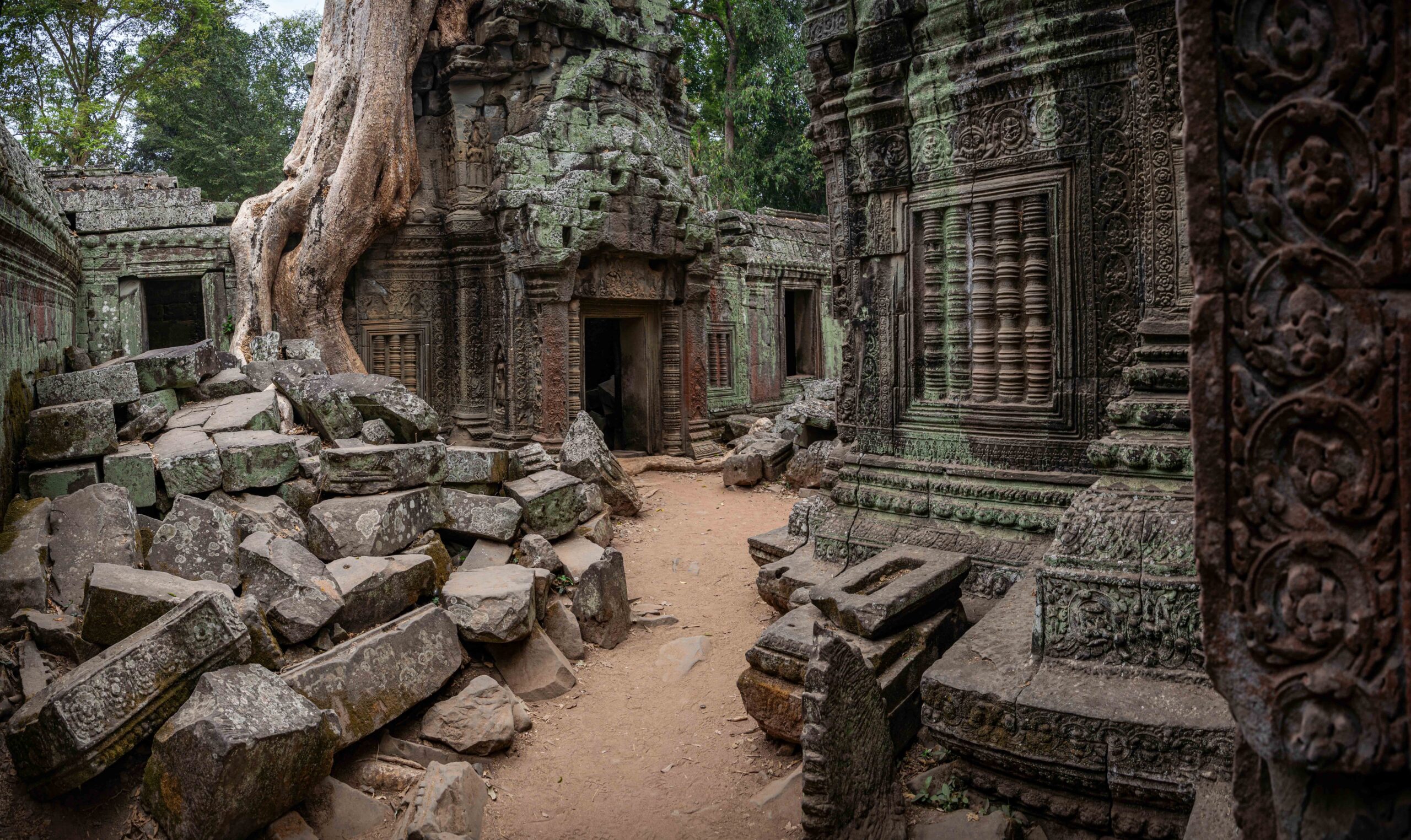 Ta Prohm Temple, Cambodia