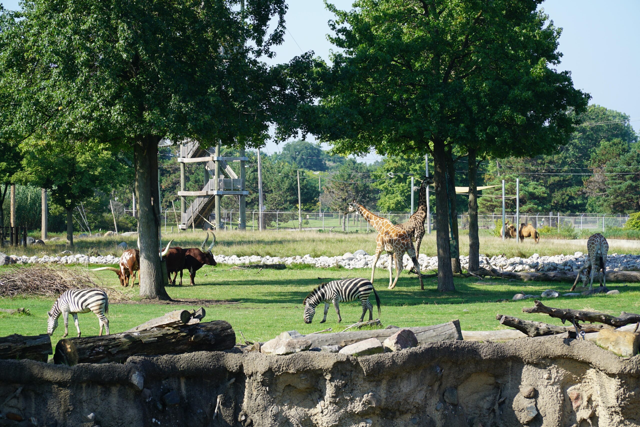 Toledo Zoo