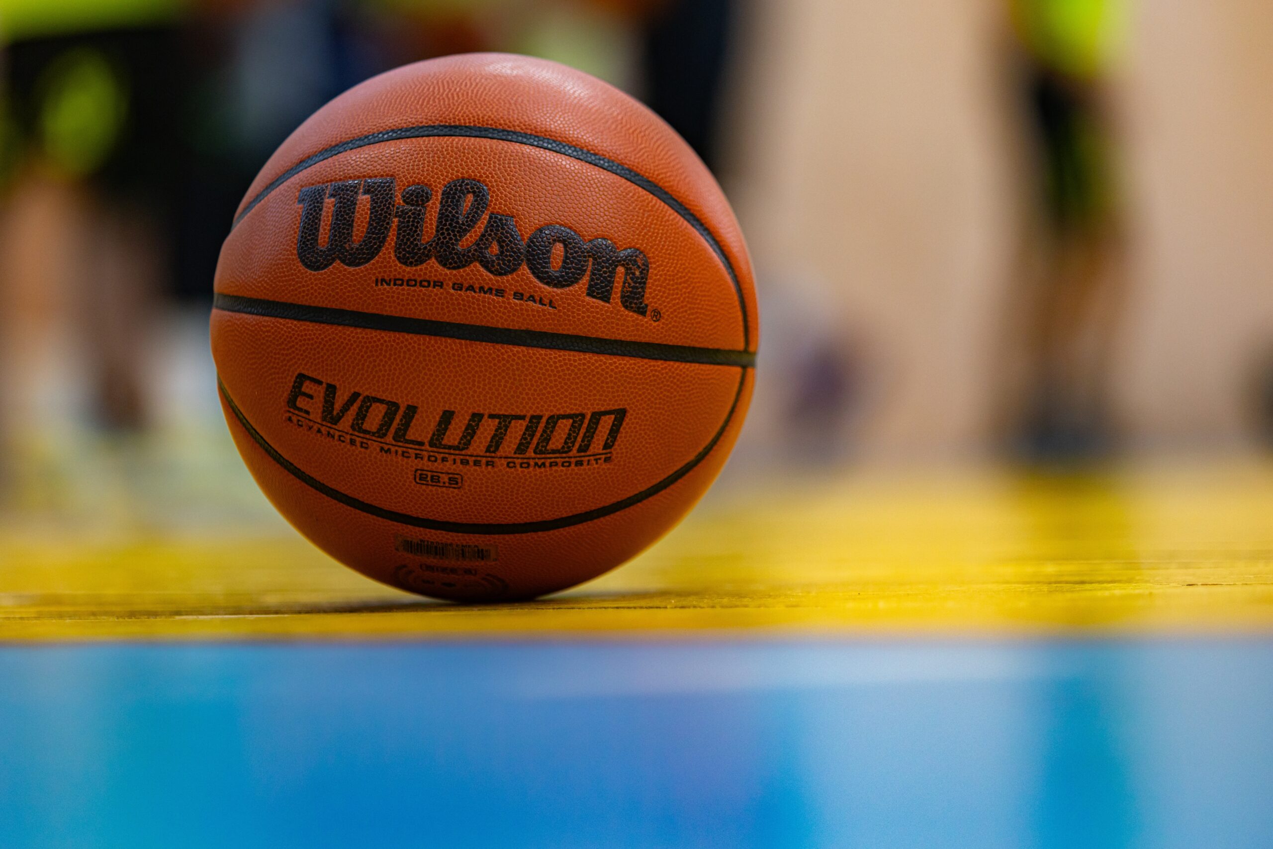 Wilson Evolution Basketball