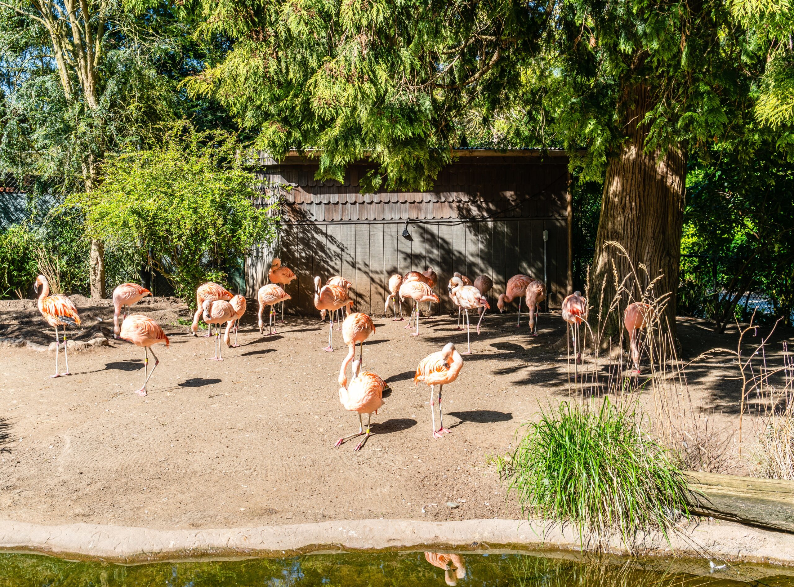 Woodland Park Zoo